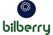Подключение к домашнему интернету Bilberry
