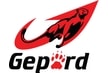 Подключение к домашнему интернету Gepard